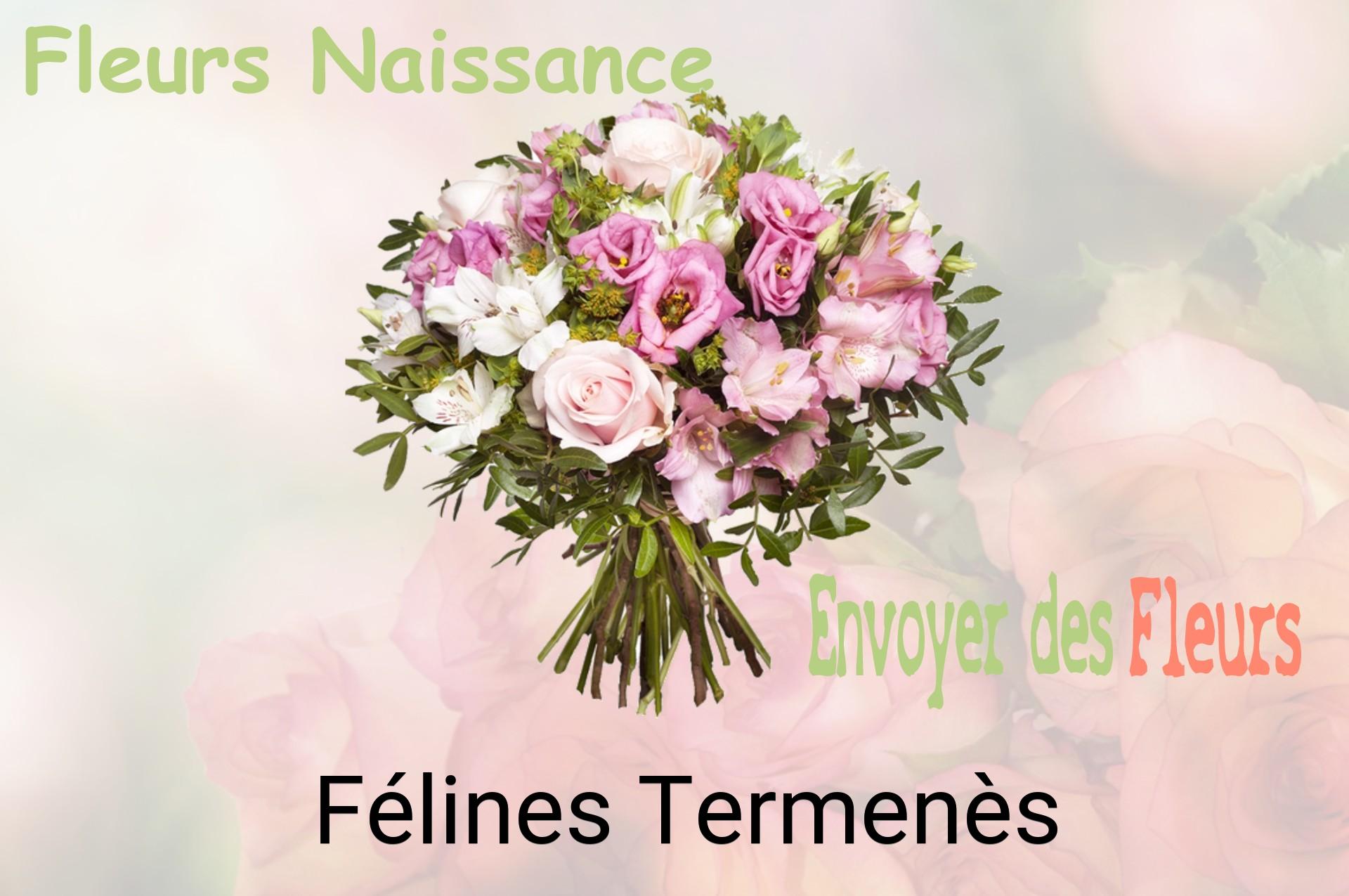 Bouquet de fleurs de naissance livré à Félines-Termenès