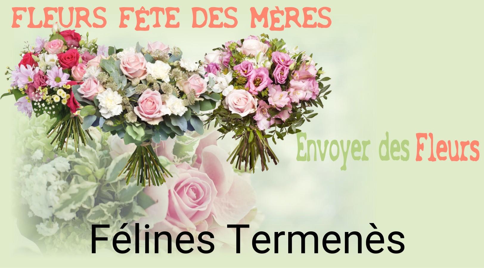 Bouquet de Fête des Mères livré à Félines-Termenès