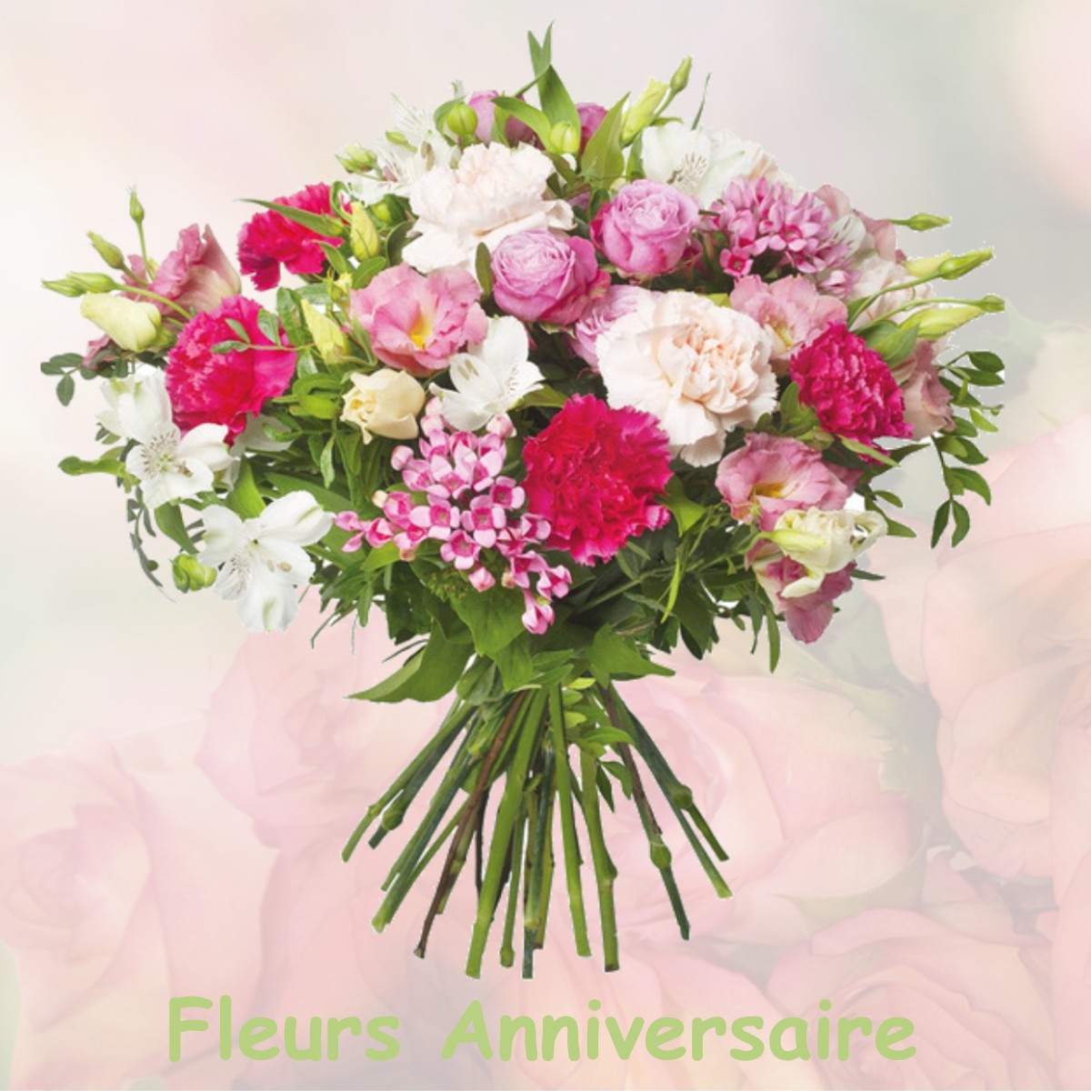 fleurs anniversaire FELINES-TERMENES